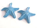 Starfish Salt and Pepper Tropical Beach