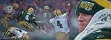 Favre, Brett Iron Man Stadium