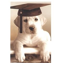 Gl�ckwunschkarte zur Pr�fung Retriever m. Doktorhut