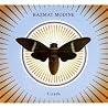 Bild des Albums von Hazmat Modine