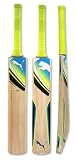Puma Calibre GT Junior Kashmir Willow Cricket Bat, Sizes 4 to 6
