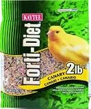 Central Avian  Kaytee Canary Fortidiet 2 Pounds - 100032129