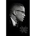 Malcolm X (Brotherhood) Art Poster Print - 24x36