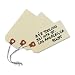 Avery Shipping Tags, Paper/Double Wire, 4.25 x 2.125 Inches, Manila, Pack of 1000 (12604)