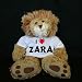 

Plush Stuffed Lion (Sighin' Lion) toy with I Love Zara t-shirt