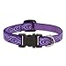 Lupine 96934 Dog Collar, Adjustable, Jelly Roll, 1/2 x 8 to 12-in. - Quantity 6