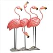 Flock O' Flamingos D&eacute;cor