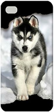 Siberian Husky Puppy TPU Case for iPhone 5/5s