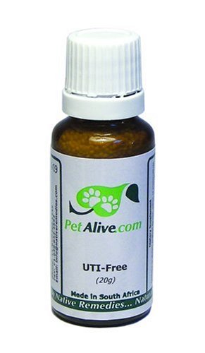PetAlive UTI-Free for Pet Bladder and Urinary Tract Health (20g) by PetAlive