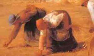 �ߥ졼̾���F6 1702040�����潦�� 1220al