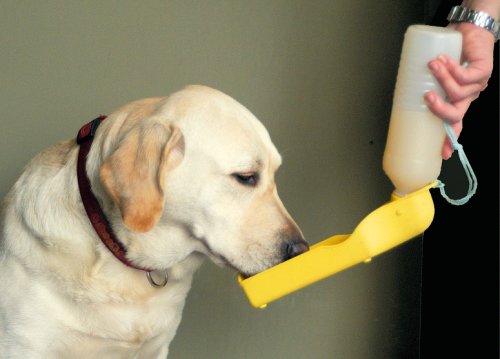 Handi-Drink Dog Water Bottle- 17 Oz - The Portable, Spill-proof