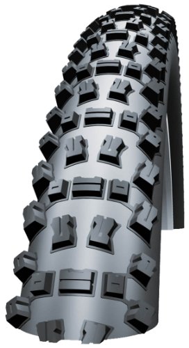 Schwalbe MTB - Reifen FAT ALBERT FRONT - EVO / TUBLES READY, SnakeSkin, TL, Folding, black Preisvergleich
