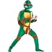 Search : TMNT Raphael Classic Muscle Child Costume