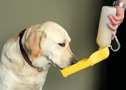 Handi-Drink Dog Water Bottle- 17 Oz - The Portable, Spill-proof Way to Keep Pets Hydrated, Color may vary
