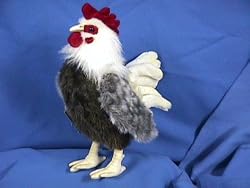 ROOSTER BANTAM 13" H