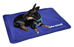 PlayaPup Pup Chiller Cooling Mat, Medium - Stained but NEW and Unused - $10 Off