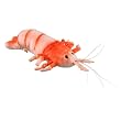 Shrimp Stuffed Animal Plush Toy 10" L