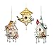 Home Sweet Home Songbird Collectible Ornament Hanging Sculpture Collection