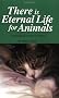 There Is Eternal Life for Animals: A Book Based on Bible Scripture