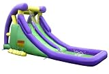KIDWISE KWWS-9029 Kidwise Double Waterslide