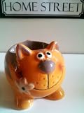 Ceramic Cat Egg Cup - Quality Animal Kitchenwares Range