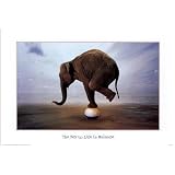 Elephant (The Key to Life is Balance) Art Poster Print - 24x36