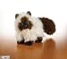 Webkinz Himalayan Cat
