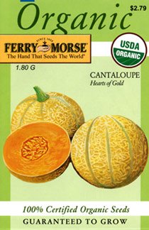 Ferry-Morse 3020 Organic Cantaloupe Seeds, Hearts Of Gold (1.8 Gram Packet)