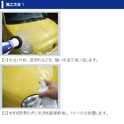 洗車の王国 オリジナル鉄粉除去剤『アイアンカット』800ml 915