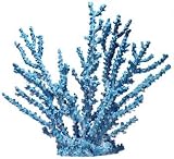 Ornament - Black Octopus Coral Xxl Blue