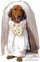 Pet Bride Dog Halloween Costume For Large Dogs