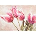 Tulips poster