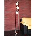 Contemporary Floor Lamp with 3 rotating lights