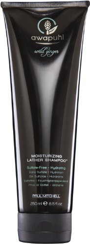 Paul Mitchell Awapuhi Wild Ginger Moisture Lather Shampoo 1000ml Preisvergleich