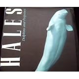 whales dolphins and porpoises