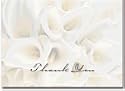 White Calla Lillies Thank You Note Cards