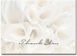  : White Calla Lillies Thank You Note Cards