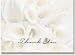 White Calla Lillies Thank You Note Cards