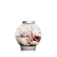 Baby biOrb Aquarium with LED Light, Silver, 4 Gallons