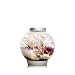 Baby biOrb Aquarium with LED Light, Silver, 4 Gallons