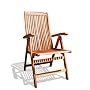VIFAH V145 Outdoor Wood Folding Arm Chair with Multiple-Position Reclining Back, Natural Wood Finish, 18 by 22 by 41-Inch