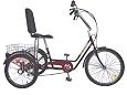 Tri-Rider Semi Recumbent Comfort adult trike Bike
