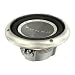 Rockford Fosgate P210S4 10 Subwoofer