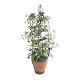 COVENT GARDEN アイビーポット LD-22