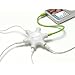 Belkin Rockstar Multi-Headphone Splitter