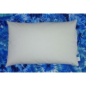 Organic Buckwheat Pillow - Travel/ Child Size (11