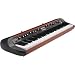 Korg SV-1 Stage Vintage 73 Key Digital Piano