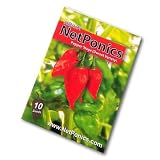 Naga Jolokia (Dorset UK Variety) Chilli seeds Ghost Chilli. The Hottest Chilli pepper on the planet. Now you can grow your own. Pack of 10 Seeds. Ghost pepper.