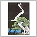 The Best of Bonsai in Europe Book (Volume 4)