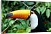 Canvas Prints of Amazon, Brazil from Danita Delimont